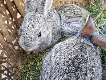 “喜加一”周报（9.26-10.2）：东方斩妖到豪门谋杀